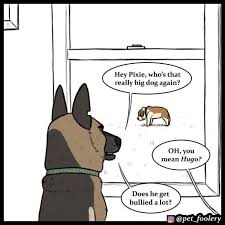 7 New Comics From The Lovable Duo Pixie And Brutus Cute Comics Dog Comics Cute Stories