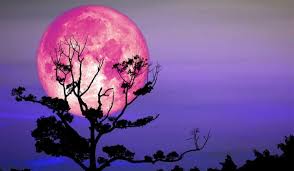 February's full moon is traditionally known as the snow moon in the northern hemisphere and typically symbolises the beginning of spring. Tonight Teach Your Kids About The Biggest Full Moon Of 2020 Jersey Shore Scene
