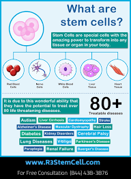 What Are Stem Cells And How Can You Get Benefit From Stem Cells Stem Cells What Is Stem Stem Cell Therapy