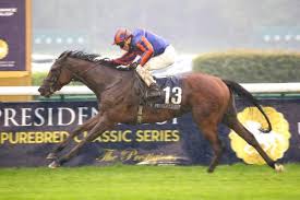 DIAMOND NECKLACE - La fiche CANALTURF du cheval, performances pmu, pédigré, évolution de la cote en direct, résultats rapports, courses 2026