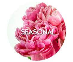 Wholesale flowers san jose public. United Wholesale Flowers