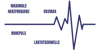 Das liegt daran, dass z. Herzfrequenz Beim Sport Was Sagt Sie Uber Deine Fitness Aus