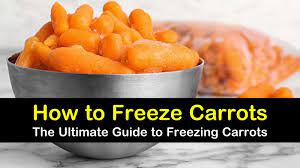 Check spelling or type a new query. 6 Clever Ways To Freeze Carrots
