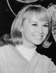 Vicky Albright's Instagram, Twitter & Facebook