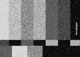Halloween background animation with the concept of spooky pumpkins, moon and bats with blue. Peanut Gallery Black And White Aesthetic Aesthetic Gif Gray Aesthetic