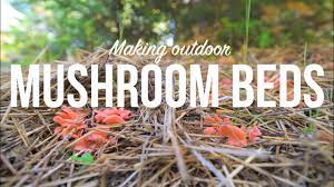 Green gray and white mushroom garden statue this mushroom has a long neck with white spots and indented groves features green artificial moss on top for a realistic look the mushroom is larger on the top. Outdoor Mushroom Beds The Easiest Way To Grow Edible Mushrooms In Your Garden Or Back Yard Youtube
