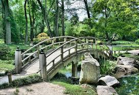 See more ideas about garden, plants, planting flowers. 100 000 Free Garden Flower Images