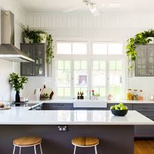 Check out our artificial plant selection for the very best in unique or custom, handmade pieces from our artificial flowers shops. 12 Best Kitchen Plants Ideal Houseplants To Live In Kitchens Apartment Therapy