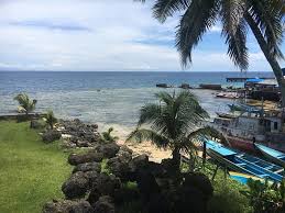 Image result for Intsia