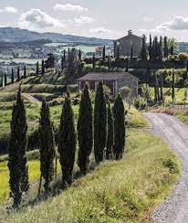 Posta Marcucci Bagno Vignoni Artemest Cypress Trees Beautiful Gardens Breathtaking Views