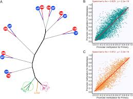 Yen is the third most traded currency in the foreign exchange market. Multiomics Profiling Of Primary Lung Cancers And Distant Metastases Reveals Immunosuppression As A Common Characteristic Of Tumor Cells With Metastatic Plasticity Genome Biology Full Text