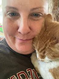 Foster kitty lost and found safe