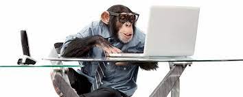 Monkey Business Repair Discount Friday June 19th Alb Tech We Fix Computers Monkeys Funny Animal Memes Monkey Business