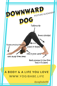 How To Do The Downward Facing Dog Adho Mukha Svanasana Yogibabe Downward Facing Dog Yoga Poses For Beginners Yoga Poses For Back