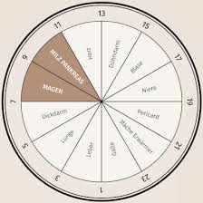 Milz und bauchspeicheldrüse stress sorgen und kummer schlagen sich hier nieder. Hofstaetter Apotheke Teil 3 Spatsommer
