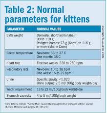 A cat's normal respiratory rate or breathing pattern may be difficult to assess, because of how well a cat can compensate and 'hide' disease. Kittens Aren T Little Cats