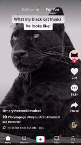 Pin On Funny Random