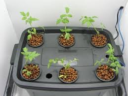 Want to learn about woodworking? Making A Hydroponic Grow Box Hydroponics And Aquaponics Tips And Tricks