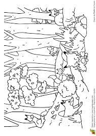 Cache Cache Animaux Renards Page 10 Sur 12 Sur Hugolescargot Com Coloriage Livre De Couleur Images Cachees