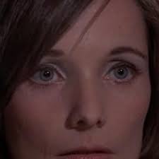 Watch Hero at Large (1980) Full Movie Free Online