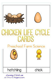 Life Cycle Of A Chicken For Kids Lesson Plan Chicken Life Cycle Farm Animals Preschool Farm Preschool