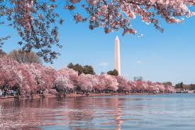 Must-See Attractions in Washington, DC - Amazing America