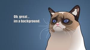 Universe full hd pc 49. Funny Meme Wallpaper Backgrounds Photos Images Pictures Yl Computing