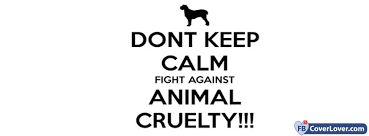 Chicago pet rescue is an all volunteer run organization, supported entirely by donations and fundraisers. Reform Awl Chicago Ridge Home Facebook