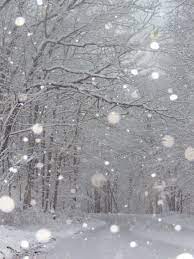 Snowfall Winter Scenes Winter Aesthetic Silver Christmas