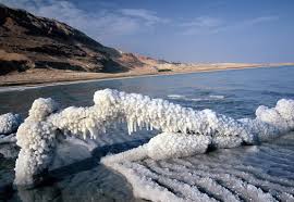 Pin By Kim Depriest On My Scripture Of The Day Dead Sea Israel Dead Sea Wonders Of The World