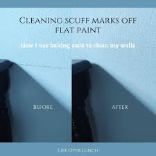 Shop wall cleaning & more. How To Clean Walls With Flat Paint Arxiusarquitectura