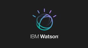 Screenshot of IBM Watson