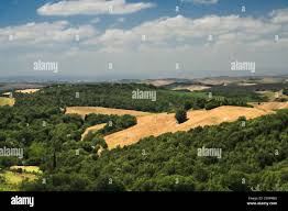 Image result for Oricia