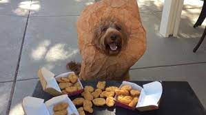 A giant fried seitan nugget! Chicken Nugget Costume Dog Cookies Cookie Costume Chicken Nuggets