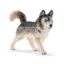 Vendita Online Husky Husky Animali