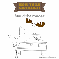 In sweden, the average life expectancy is 82 years (80 years for men. Driving In Sweden Why You Should Avoid The Moose Hej Sweden