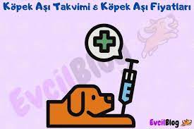 kopek asi takvimi guncel kopek asi fiyatlari 2021 evcilblog