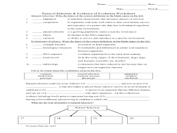 Much evidence has been found to indicate that living things have evolved or changed gradually during their natural history. Natural Selection And Evidence Worksheet Worksheet For 9th 12th Grade Lesson Planet