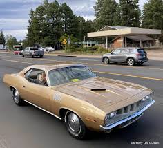 Image result for Citron Mist 1970 Belvedere