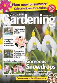 She calls him every day, but he doesn't call _____. Amateur Gardening Magazine 2021 01 26