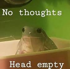 images?q=tbn:ANd9GcTz3lmxSraWn-U6vJrNSewhNrS460waPyMWiw&s