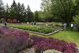 One of the most popular selections below, the. Darwin Perennials Day 2019 Highlights