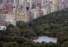 Central park is an urban park in new york city located between the upper west and upper east sides of manhattan. Woman Who Falsely Accused Black Bird Watcher In Central Park Sues Ex Employer Reuters