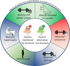 Image result for training effect schema