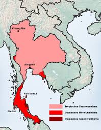 Beste reisezeit thailand wann solltest du nach thailand reisen? Wetter Klima Thailand Klimatabelle Temperaturen Und Beste Reisezeit