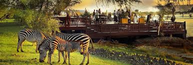 La moins chère est en avion depuis victoria falls, ce qui coûte $247. The Royal Livingstone Hotel Victoria Falls Zambie Afrique Tourisme