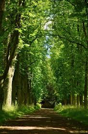 Forstbotanischer Garten Eberswalde Urlaub Reisen Eberswalde Ausflug