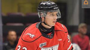 Ashley HomeStore OHL Highlight Reel