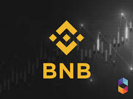 In order to actually start trading at binance, it is necessary that the above steps have been executed. Binance A Case Study Of Bnb S Success By Zach Fitzner Future Vision Medium