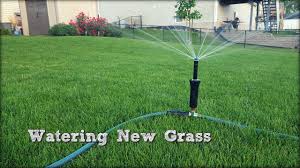 This will give you enough water in each container to understand how much water your sprinklers are putting out. How To Water New Grass Seed Above Ground Sprinkler Fall Lawn Renovation And Overseeding Step 5 Youtube